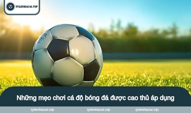 Những mẹo chơi cá độ bóng đá được cao thủ áp dụng